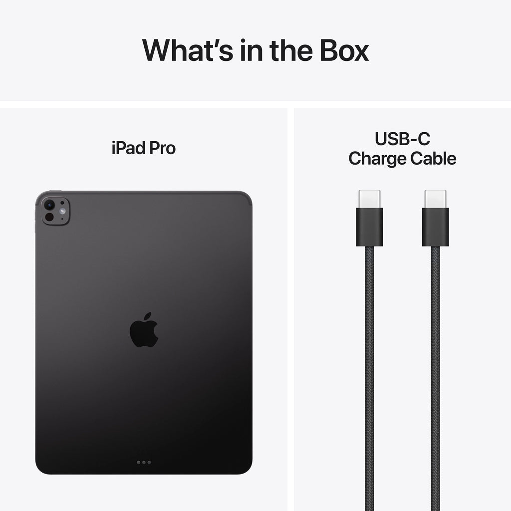 iPad Pro 11" M5 - 256 Go (SCELLÉ)